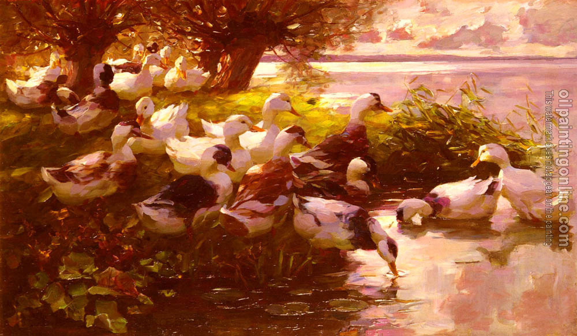 Alexander Koester - Max Ducks On A Lake